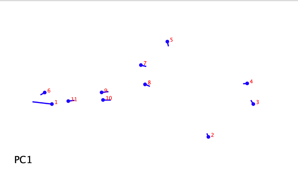 PC1 Shape Changes