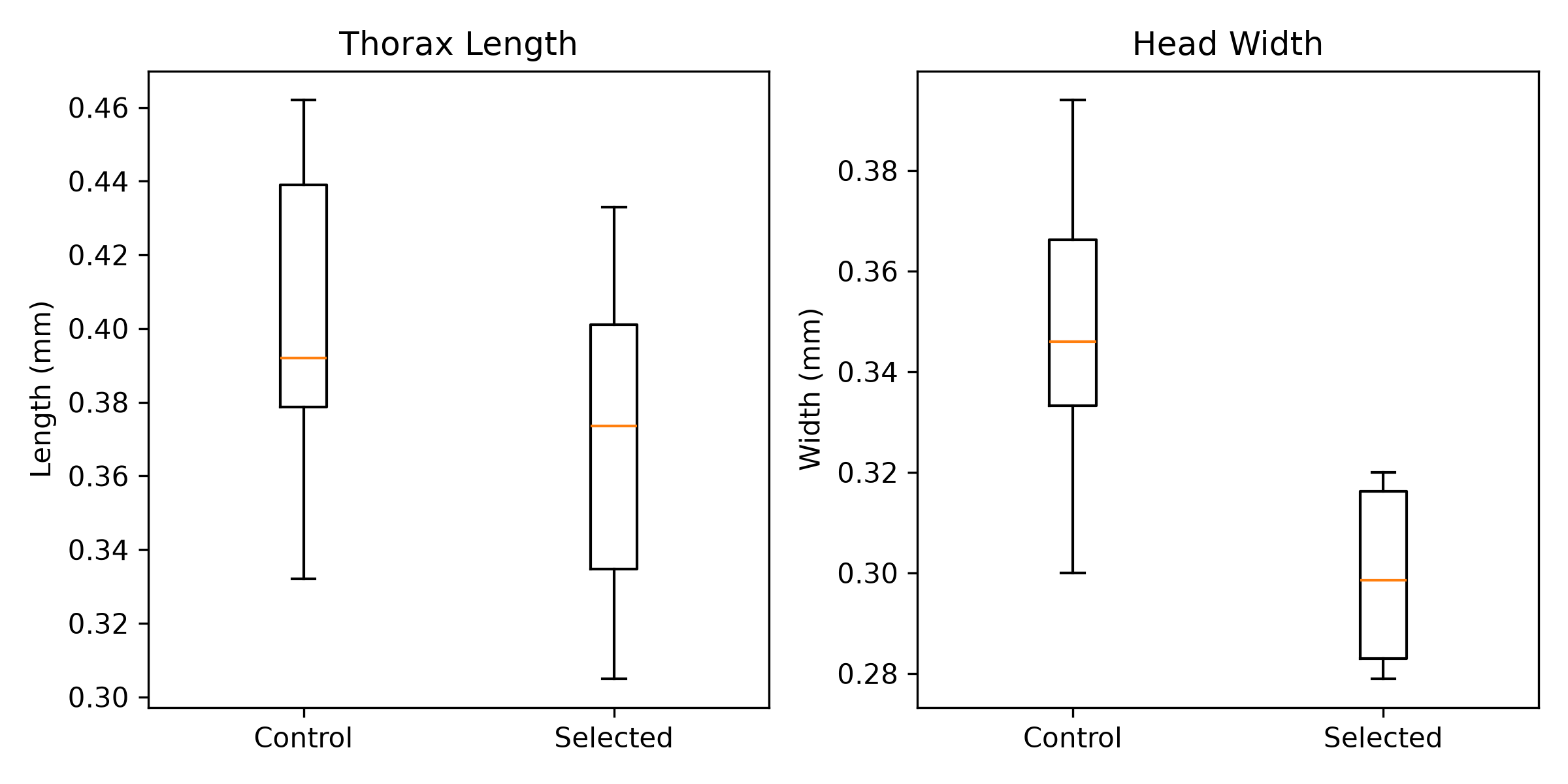 Traditional Morphometrics Boxplot